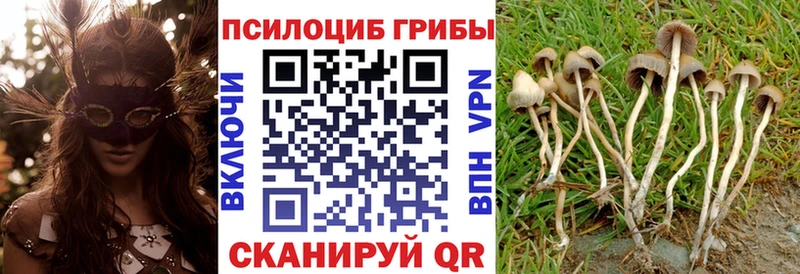 Псилоцибиновые грибы прущие грибы  Купить закладки  Остров 